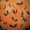 Quality Fabric 100% Cotton Fat Quarter (18'' x 22'') Bats Spider Web Bat Spiderweb Orange Black view 1