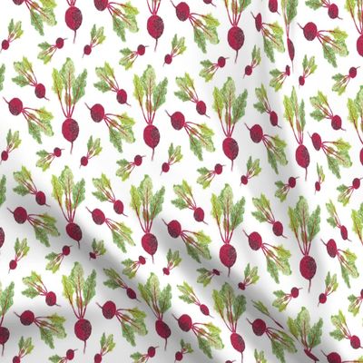 Spoonflower Fabric - Beet Radish White Vegetable Food Kitchen Cooking Veggies Chef Cook Printed on Petal Signature Cotton Fabric Fat Quarter - Sewing Quilting Apparel Crafts Decor