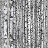 Tree Fabric Landscape Medley Birch Trees in Gray Premium Quality 100% Cotton Fabric by The Yard view 1