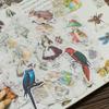 Alideco Vintage Vinyl Stickers, 80Pcs Funny Aesthetic Kawaii Stickers Pack, Waterproof Bird Animals Stickers for Adults, Journaling, Planner, Scrapbooking Embellishment, DIY Crafts view 3
