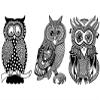 Wise Owls 3 pcs 3 Inch Black Fused Glass Decals view 1