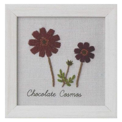 LECIEN () Lucian 542011 Embroidery Kit, Kazuko Aoki 12 Months Plant Book, Chocolate Cosmos, Cosmo 4.6 x 4.6 inches (11.7 x 11.7 cm)