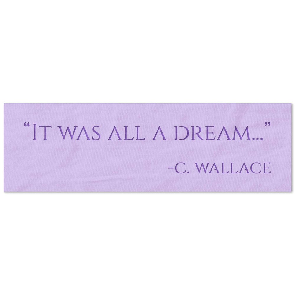 Stencil Stop It was All a Dream Stencil - Reusable for DIY Projects, Painting, Drawing, Crafts - 14 Mil Mylar Plastic (24 x 5 inches)