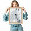DIAMOND DOTZ Arabian Beauty Horse Diamond Painting Kits for Adults - Diamond Art Kits a Relaxing Creative Craft Kit with Dotz Gems 12.2"x16.1" view 4