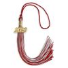 Endea Graduation Mixed Double Color Tassel with Gold Date Drop (Red/Silver, 2022) view 1