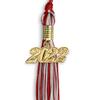 Endea Graduation Mixed Double Color Tassel with Gold Date Drop (Red/Silver, 2022) view 2