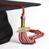 Endea Graduation Mixed Double Color Tassel with Gold Date Drop (Red/Silver, 2022) view 4