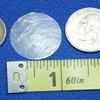 Salty Pelican 1 Inch Capiz Shells Volume Priced Pack of 100 view 2
