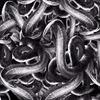 Hydrographic Film Combo Kit Snake Pit Black and Clear Transparent Hydrographic Water Transfer Film Activator Combo Kit Hydro Dipping Dip Demon view 2