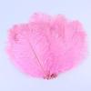 20-25cm Fancy Ostrich Feathers Natural DIY Jewelry Accessory Wedding Party Decoration Plume for Crafts 10/50/100Pcs view 1