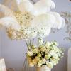 20-25cm Fancy Ostrich Feathers Natural DIY Jewelry Accessory Wedding Party Decoration Plume for Crafts 10/50/100Pcs view 2