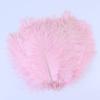 20-25cm Fancy Ostrich Feathers Natural DIY Jewelry Accessory Wedding Party Decoration Plume for Crafts 10/50/100Pcs view 3