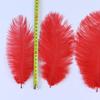 20-25cm Fancy Ostrich Feathers Natural DIY Jewelry Accessory Wedding Party Decoration Plume for Crafts 10/50/100Pcs view 4