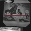 DREAMUS Shinee Dont Call Me 7th Full Album Photobook Ver Random view 1