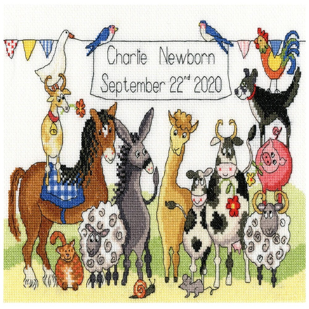 Bothy Threads Something to Crow About Cross Stitch Birth Sampler Kit