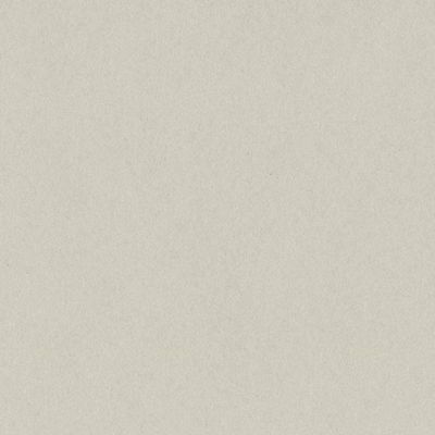 TAFFY - 12x12 Cardstock by Bazzill Card Shoppe | 100 lb Smooth Grey Scrapbook Paper | Premium Card Making Cardstock for Paper Crafts | 25 Sheets