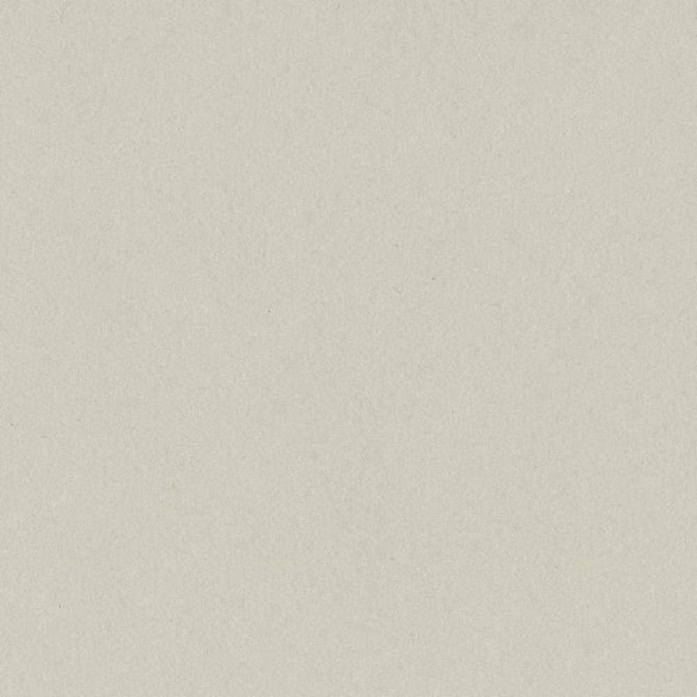 TAFFY - 12x12 Cardstock by Bazzill Card Shoppe | 100 lb Smooth Grey Scrapbook Paper | Premium Card Making Cardstock for Paper Crafts | 25 Sheets