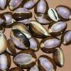 Salty Pelican Pack of 50 Purple Top Snake Head Cowry Seashells, #37 view 3