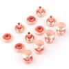 8mm Rose Gold Double Cap Rivets,Metal Button Round Jewelry Rapid Rivet,Rivet Studs for Purse Bag Handbag Shoes Jeans Belts Leather Craft DIY 50PCS view 1