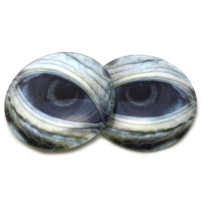 Lidded Sea Turtle Glass Eyes Realistic Animal Pair for Reptile Art Doll Parts, Sculpture, Prop, Mask Crafts, Fursuit Cosplay, Jewelry Making Cabochons, Taxidermy Supplies, and More (14mm)