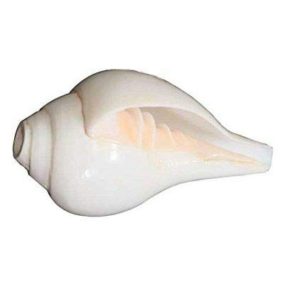 White Puja Blowing Shankh Conch Shell Hindu Religion Pooja Use 4.5 Inches