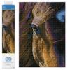 DIAMOND DOTZ Star Diamond Painting Kits for Adults - Diamond Art Kits a Relaxing Creative Craft Kit with Dotz Gems 16.3"x11.6" view 1