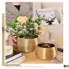 Ceramic Joe electroplated Gold Ceramic Flowerpot Creative Drawing Round vase Dining Room Living Room Bedroom Ornaments (Large 6.6in) view 2