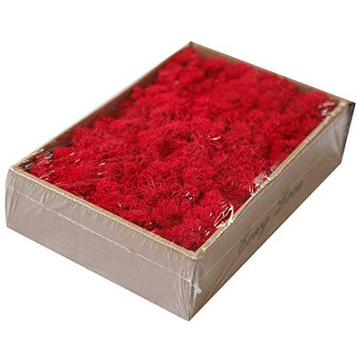 Reindeer Moss Preserved 7-Ounce, Wall Decoration Preserved Moss 200g, Eternal Fresh Moss for Home Dcor (Red)