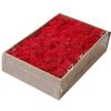 Reindeer Moss Preserved 7-Ounce, Wall Decoration Preserved Moss 200g, Eternal Fresh Moss for Home Dcor (Red) view 1