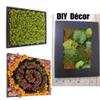 Reindeer Moss Preserved 7-Ounce, Wall Decoration Preserved Moss 200g, Eternal Fresh Moss for Home Dcor (Red) view 3