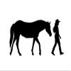 1 PCS 5x10 inch Custom Cut Stencil, (TG-83) Cowgirl with Horse Crafts, Arts, Scrapbooking - Painting on The Wall, Wood, Glass and Other view 1