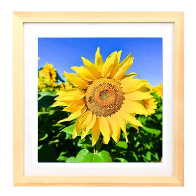 Mxtallup Diamond Painting Picture Frames 12x12,Display Pictures 10x10 Inch/ 25x25 cm with Mat or 12x12 Inch/30x30 cm Without Mat, Diamond Art Frame Wood Color (TYK0011)
