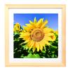 Mxtallup Diamond Painting Picture Frames 12x12,Display Pictures 10x10 Inch/ 25x25 cm with Mat or 12x12 Inch/30x30 cm Without Mat, Diamond Art Frame Wood Color (TYK0011) view 1