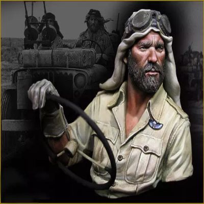Risjc 1/10 Resin Bust Figure Bust British Air Force Die Casting Model Kit //N32284(Unassembled and unpainted)
