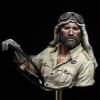 Risjc 1/10 Resin Bust Figure Bust British Air Force Die Casting Model Kit //N32284(Unassembled and unpainted) view 2
