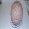 Designer Jewelry Leather Cord Tan Tan Leather 2 mm Flat Cord 100 Foot Ball view 1