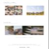 Mamamoo WAW 11th Mini Album CD+1p Poster+96p PhotoBook+12p Letter Book+1p Film Photo+2p PhotoCard+Tracking Sealed view 4