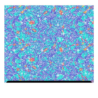 Floral Patterned Glitter HTV (13.33" x 36") - Mai Tai Flower