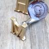 Custom Ice Cube Stamp,DIY Monogram Ice Branding Stamp with Removable Brass Head,Personalized Bar Ice Stamp (Wooden Handle, 1") view 1