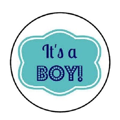 Its A Boy Plaque Envelope Seals Labels 48 Stickers 1.2" Round