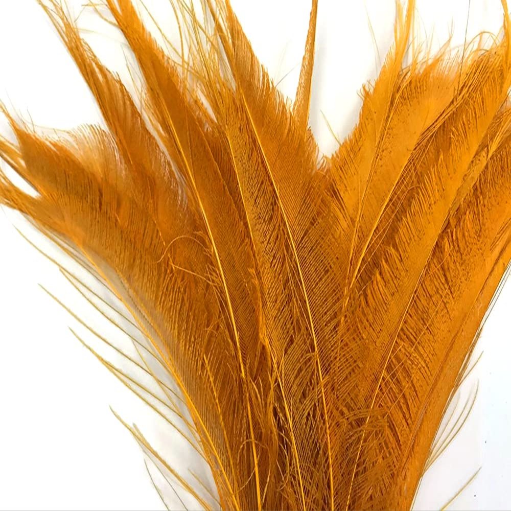5 Pieces - Golden Yellow Bleached & Dyed Peacock Swords Cut Feathers Halloween Costume Fly Tying Craft Supply | Moonlight Feather