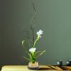 Tyenaza Kenzan Flower Arrangement, Round Pin Flower Arrangement Needle Kenzan Flower Holder for Flower Decoration (60mm) view 4