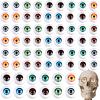 Skylety 64 Pcs Halloween Eye Balls 22 mm 0.87 Inch Realistic Fake Eyes Doll Horror Plastic Half Eyeball Prop for Halloween Party view 1