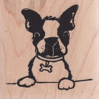 Impression Obsession D21393 Dog with Bone Collar Wood Mounted Rubber Stamp