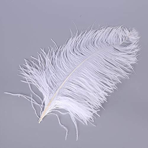 Jeniorr Elegant White Ostrich Feathers for Crafts 15-75cm Wedding Party Accessory Supplies Carnival Dancer Decoration Plumas