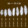 Jeniorr Elegant White Ostrich Feathers for Crafts 15-75cm Wedding Party Accessory Supplies Carnival Dancer Decoration Plumas view 2