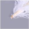 Jeniorr Elegant White Ostrich Feathers for Crafts 15-75cm Wedding Party Accessory Supplies Carnival Dancer Decoration Plumas view 4