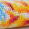 Vilihkc 447 Colors Square Beads for Diamond Painting Accessories,Rhinestones Diamond Painting Beads,Sparkle Rhinestones for Nails Diamond Art Crafts view 4