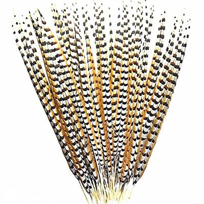 Zamihalaa Natural Lady Amherst Pheasant Feathers for Crafts12-72" Reeves Venery Pheasant Tail Feathers for Decoration Carnival Accessories