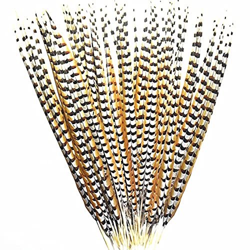 Zamihalaa Natural Lady Amherst Pheasant Feathers for Crafts12-72" Reeves Venery Pheasant Tail Feathers for Decoration Carnival Accessories
